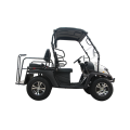 Chariot de golf électrique UTV EEC à 5 kW